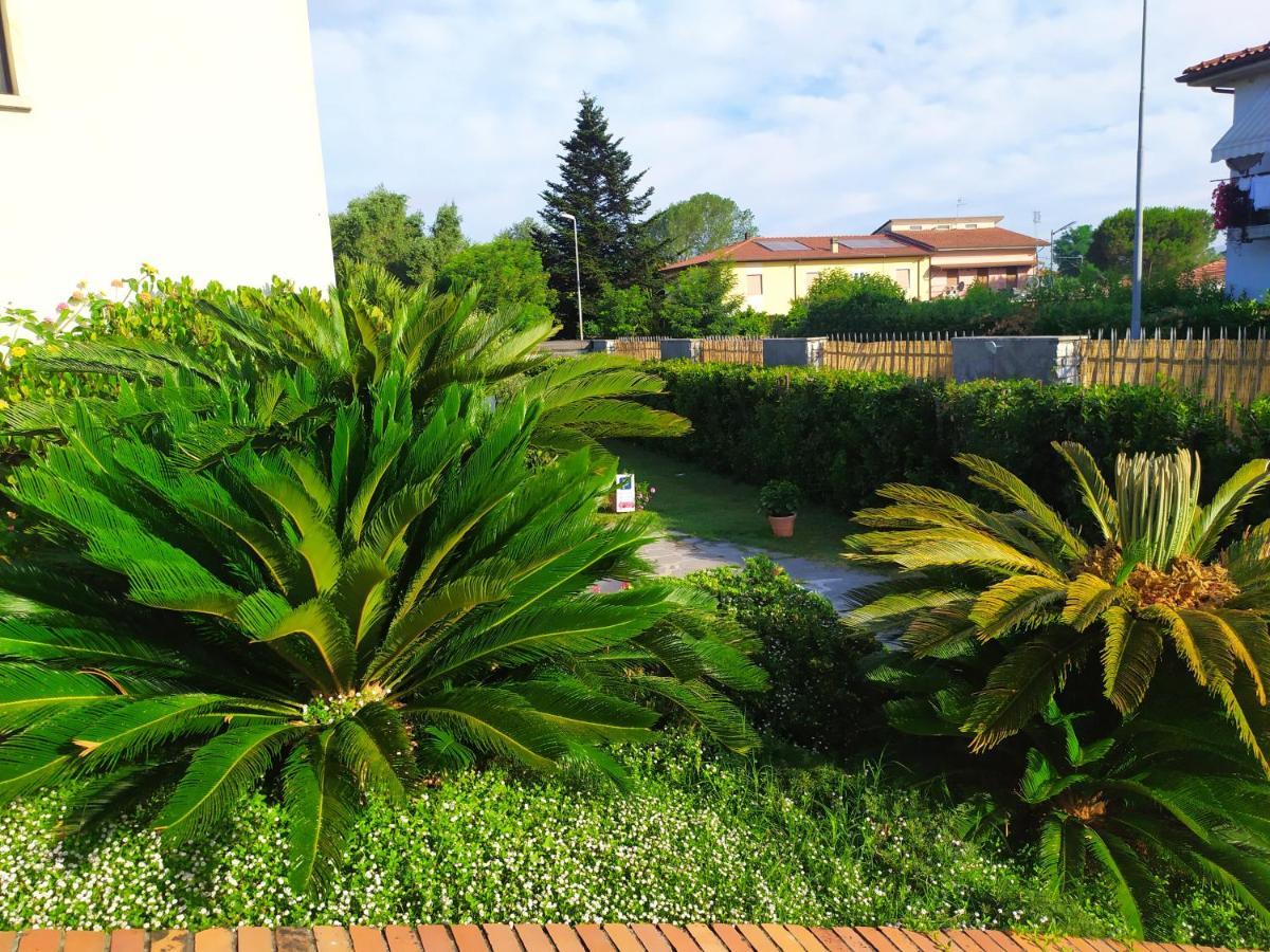 B&B Tra Mare E Marmo Марина-ди-Каррара Экстерьер фото